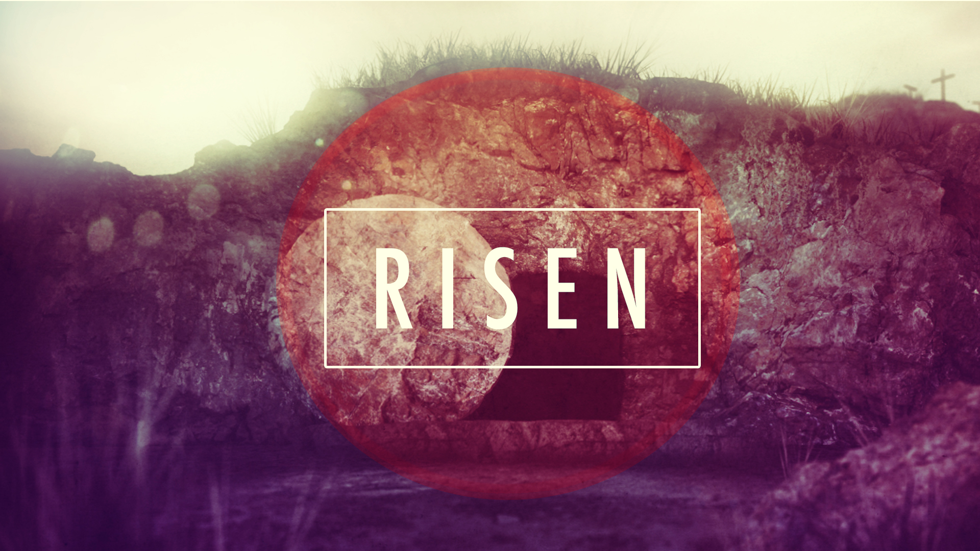 Risen